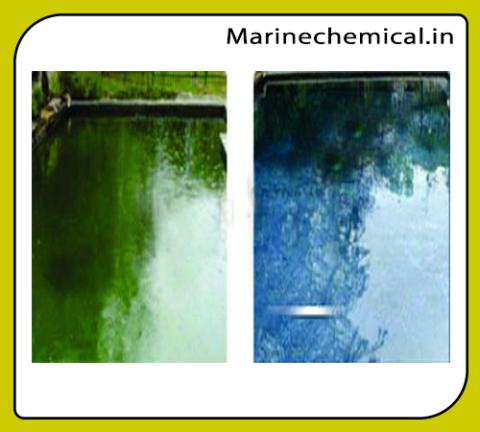 Algaecide Clarifier