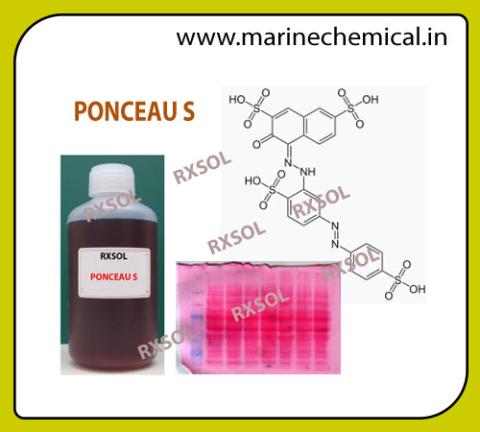 PONCEAU S