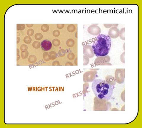 WRIGHT STAIN