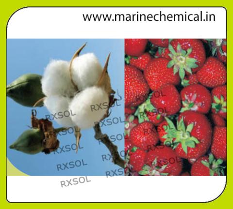 AGRISOL B 11