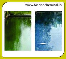 Algaecide