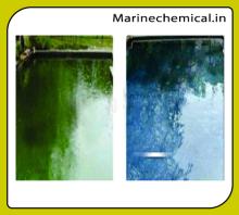 All In One Algaecide