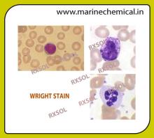 WRIGHT STAIN