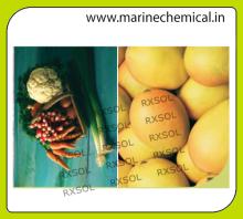 AGRISOL B 11