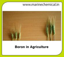 Boron